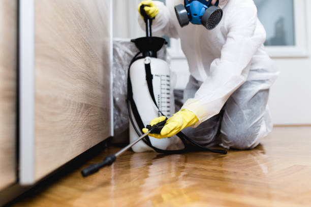 Best Emergency Pest Control  in Orleans, IN