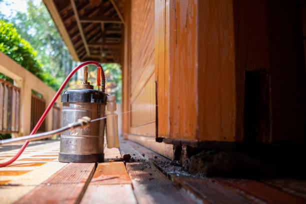 Best Pest Removal Services  in Orleans, IN