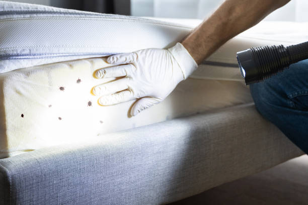 Best Wildlife Control Services  in Orleans, IN