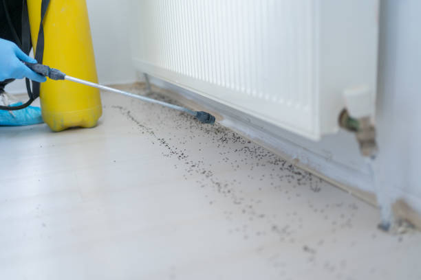 Best Local Pest Control Services  in Orleans, IN