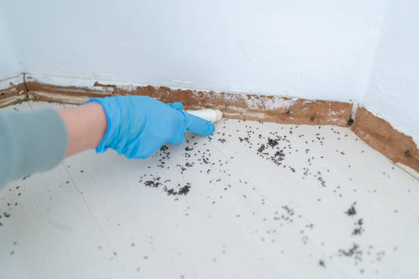 Best Commercial Pest Control Services  in Orleans, IN