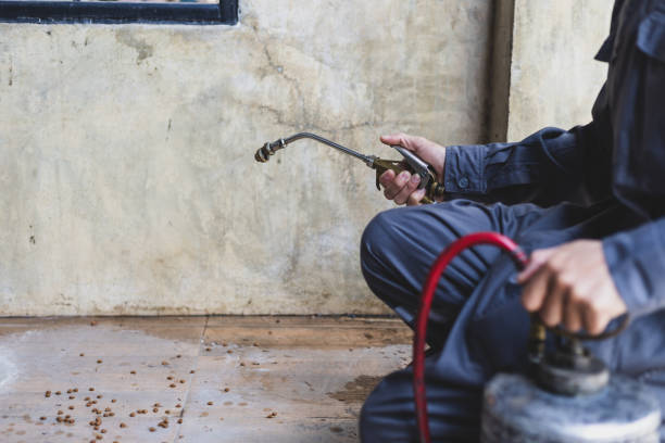 Pest Control Cost in Orleans, IN