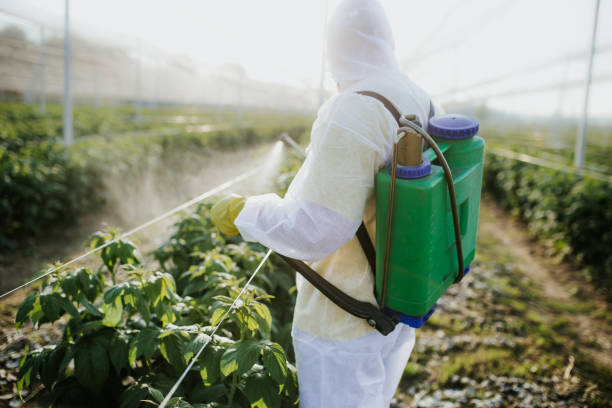Best Pest Control Near Me  in Orleans, IN